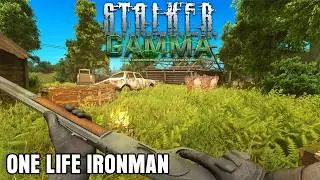 My Luck is INSANE - GAMMA ONE LIFE IRONMAN