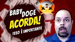 BABY DOGE ACORDE E FAÇA ISSO URGENTEMENTE!