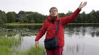 №777🚙Поездка на автомобиле в посёлок Охват🌲Очень красивая природа. Колодец с питьевой водой. Калина