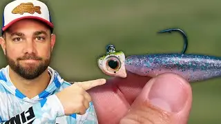 Shaking A MINNOW -  What I Have Learned