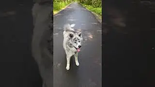 Тренимся😁