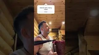 Частушка про глаза #гармонь #сударев #топ #частушка #folk