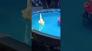 обезьяна в лодке