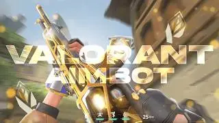 Using The BEST COLORBOT in IMMORTAL ELO 🎯 ft.TroyServices (VALORANT UNDETECTED COLORBOT)