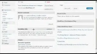 Wordpress Interface Overview