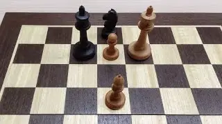 Слон и пешка против коня. Часть 1.