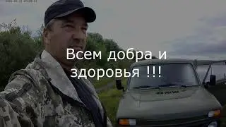 Печальная рыбалка !