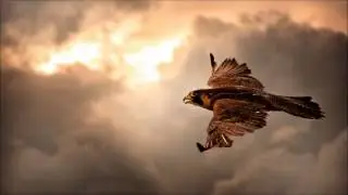 Feeling Good by muse