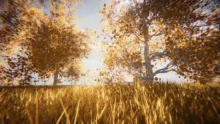 High Poly Tree Inside URP