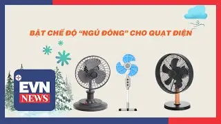 BẬT CHẾ ĐỘ “NGỦ ĐÔNG” CHO QUẠT ĐIỆN