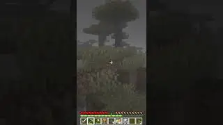 Strano avvistamento... #shorts #minecraft