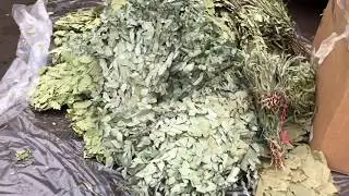 Новая партия веников