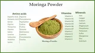 Moringa Powder | Moringa ke fayde | Moringa Weight Loss | Moringa Oleifera