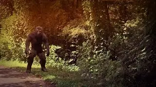 ИЩЕМ БИГФУТА