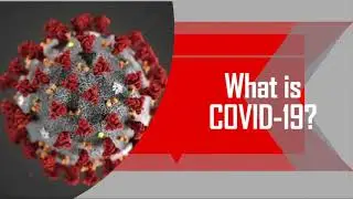 COVID 19