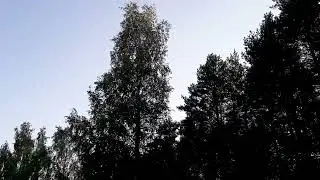 2 августа 2022 г.