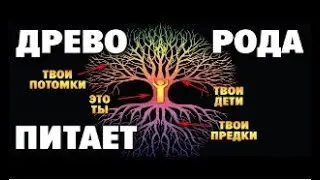 Как на нашу жизнь влияют Предки? 9 принципов Силы Рода