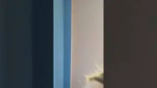 Над какой шуткой, она смеялась в начале? 