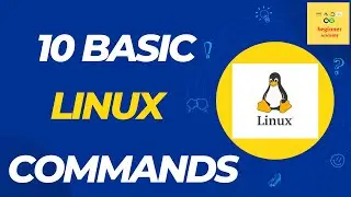 😱 Basic Linux Commands beginners should Know 