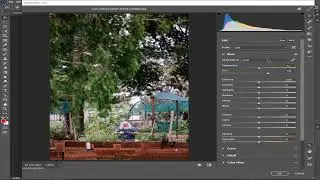 Adobe Camera Raw Filter Basic Tutorial for beginners