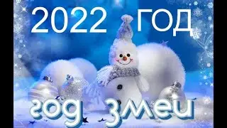 2022 год для тех кто родился в год ЗМЕИ
