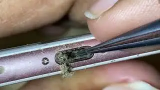 iPhone 6s Plus USB Port Cleaning, Deep Cleaned iPhone 6s