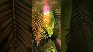 Battlefield 5 Melee Kills!!!😱😱😱