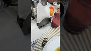Обід в санаторії Світязянка м.Трускавець #трускавець #truskawiec