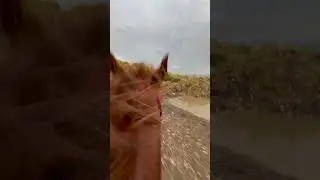 Подготовка продолжается 🔥🏇