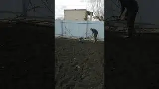 первый огород в 2024.работа.