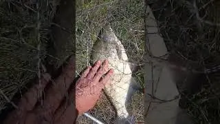 В рыбалке главное не улов🤣