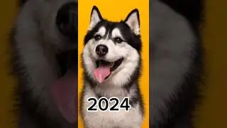 2024 dog 🐶 5000 BCE dog 🐕 💥 #viral #shorts
