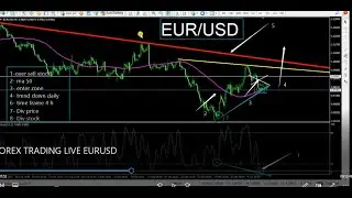 FOREX TRADING LIVE EURUSD