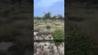 تريد الهم يذهب جرب معي