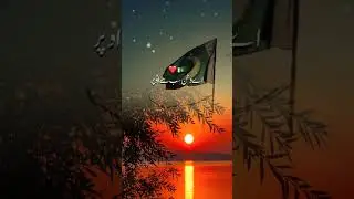 Pakistan zindabad #duet #pakistan #14agust