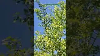 15 мая 2022 г.