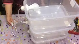 парник для рассады своими руками(мои растения растут без меня)