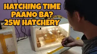 DIY INCUBATOR/ HATCHING TIME ANO DAPAT GAWIN PARA MADALING MAPISA ANG ITLOG.