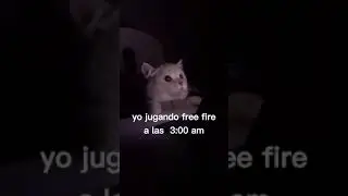 Yo jugando Free Fire a las 3:00 A.M. 😳 pero...
