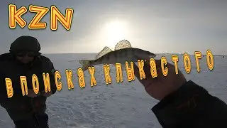 Куйбышевское водохранилище. Рыбалка в Казани. д .Макаровка, часть 2