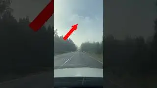 WHAT IS THIS?😳ЧТО ЭТО?🫣 #short #shorts #shortvideo #dvr