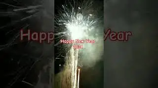 Happy New Year 2024, New year #happynewyear #newyear #shorts #viral #3d #newyear2024 #funny #fanus