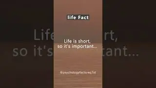 Life Fact 