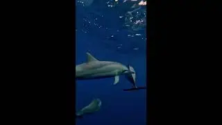 ☀️SUN SIYAM IRU FUSHI 5*Мальдивы