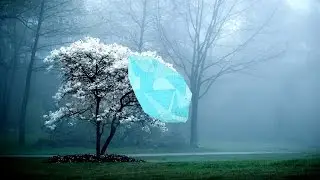 Teminite - Are You Ready [Bass Boosted]