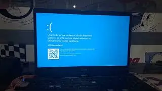 Nl-Den Haag.ogg has BSOD