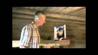 Pуйный БOOP | Collab