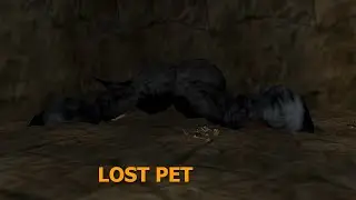 Darling's Collar/Lost Pet Quest | Asheron's Call Gameplay