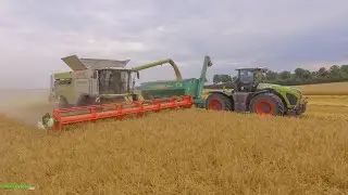 CLAAS LEXION 7700TT | XERION 4000 | Getreideernte 2020 | AGRAVIS Demotour | Gerstenernte