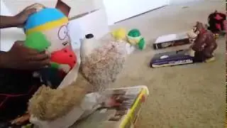Mario 2 The Gamer Heroes Part 1